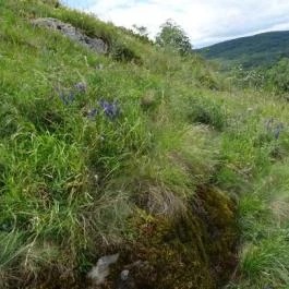 Füzéri Várgondnokság, Füzér - 