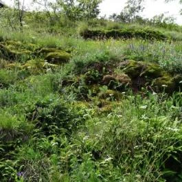 Füzéri Várgondnokság, Füzér - 