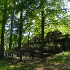 Halászcsárda Vendéglő Szarvas - Külső kép