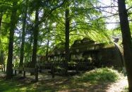 Halászcsárda Vendéglő Szarvas