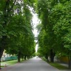 Abacus Business & Wellness Hotel Herceghalom - Környék