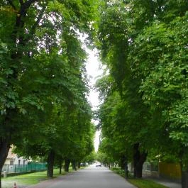 Abacus Business & Wellness Hotel, Herceghalom - Környék