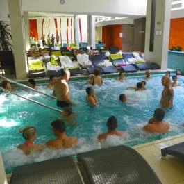Abacus Business & Wellness Hotel, Herceghalom - Wellness