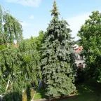 Hotel Bodrog Wellness Sárospatak - Környék