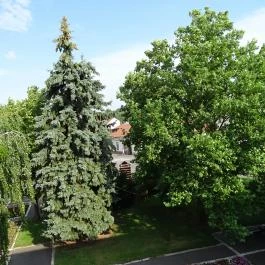 Hotel Bodrog Wellness Sárospatak - Környék