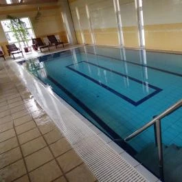 Hotel Bodrog Wellness Sárospatak - Wellness