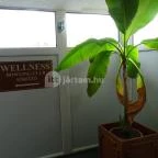 Hotel Bodrog Wellness Sárospatak - Belső