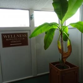 Hotel Bodrog Wellness Sárospatak - Belső