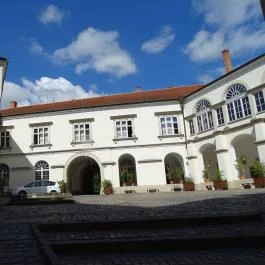 Hotel Bodrog Wellness Sárospatak - Külső kép