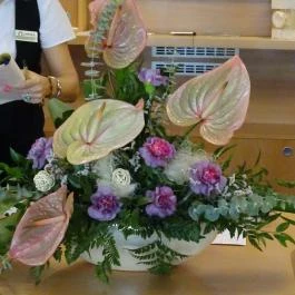 Hotel Eger & Park, Eger - Egyéb