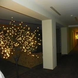 Hotel Európa Gunaras Dombóvár - Belső