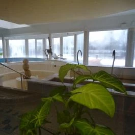 Hotel Gara Gyógy- és Wellness Szálloda, Füzesgyarmat - Wellness