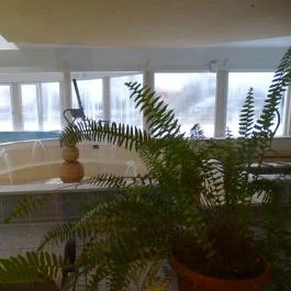 Hotel Gara Gyógy- és Wellness Szálloda, Füzesgyarmat - Wellness