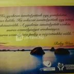 Hotel Gara Gyógy- és Wellness Szálloda Füzesgyarmat - Egyéb