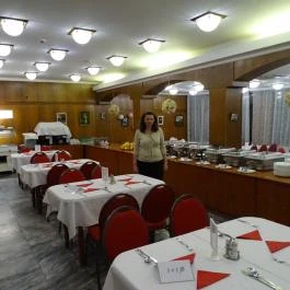 Hotel Gara Gyógy- és Wellness Szálloda, Füzesgyarmat - Vendéglátás