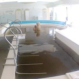 Hotel Gara Gyógy- és Wellness Szálloda, Füzesgyarmat - Wellness