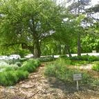 Silvanus Wellness & Konferencia Hotel Visegrád - Környék