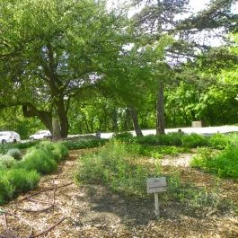 Silvanus Wellness & Konferencia Hotel, Visegrád - Környék