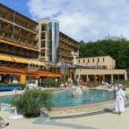 Silvanus Wellness & Konferencia Hotel Visegrád - Medence/kert