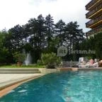 Silvanus Wellness & Konferencia Hotel Visegrád - Medence/kert