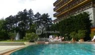 Silvanus Wellness & Konferencia Hotel Visegrád - Medence/kert