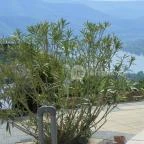 Silvanus Wellness & Konferencia Hotel Visegrád - Környék