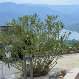 Silvanus Wellness & Konferencia Hotel, Visegrád - Környék