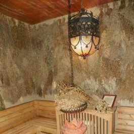 Silvanus Wellness & Konferencia Hotel, Visegrád - Környék