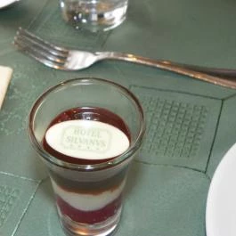 Silvanus Wellness & Konferencia Hotel, Visegrád - Vendéglátás