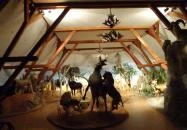 Hunor Vadászati Múzeum Vásárosnamény