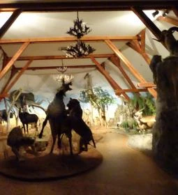 Hunor Vadászati Múzeum