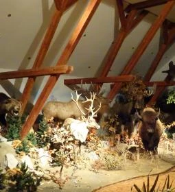 Hunor Vadászati Múzeum