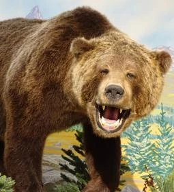 Hunor Vadászati Múzeum