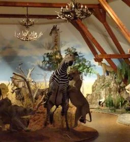 Hunor Vadászati Múzeum