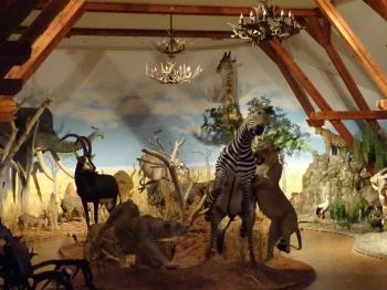 Hunor Vadászati Múzeum Vásárosnamény