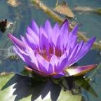 Kikelet Club Hotel Miskolctapolca - Környék