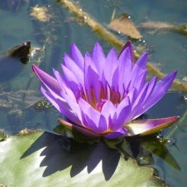 Kikelet Club Hotel Miskolctapolca - Környék