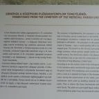 Kisnánai Várrom és Népi Műemlék Kisnána - 