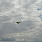 Kisnánai Várrom és Népi Műemlék Kisnána - 