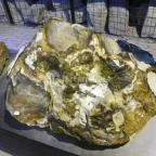 Kisnánai Várrom és Népi Műemlék Kisnána - 