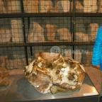 Kisnánai Várrom és Népi Műemlék Kisnána - 