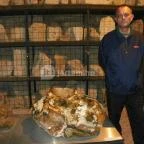 Kisnánai Várrom és Népi Műemlék Kisnána - 