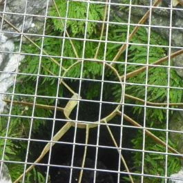 Kisnánai Várrom és Népi Műemlék, Kisnána - 