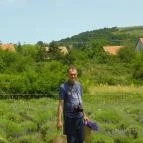 Levendula Ház Látogatóközpont Tihany - 