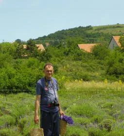 Levendula Ház Látogatóközpont 