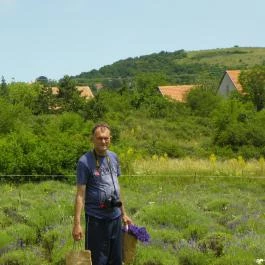 Levendula Ház Látogatóközpont Tihany - Egyéb