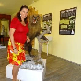 Lónyay-Kastély Tuzsér - Egyéb