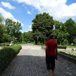 Rákóczi vár Sárospatak - Egyéb