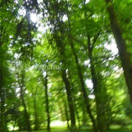 Magyarország Történeti Kertjei Kiállítás, Alcsútdoboz - 