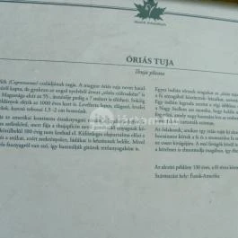 Magyarország Történeti Kertjei Kiállítás, Alcsútdoboz - 